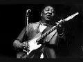 Muddy Waters - Champagne _ Reefer