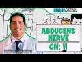 Neurology Abducens Nerve Cranial Nerve VI