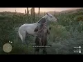 The Few Spotted Appaloosa Rdr2 Horses