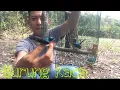 Download Lagu Mikat burung kolibri wulung di hutan belinyu