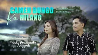 pinki prananda ft anggrek cameh bungo ka hilang official music video 