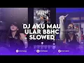 Lagu DJ AKU MAU ULAR BBHC BEKEN VERSI SLOWED