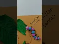 Life cycle of butterfly clay modelling
