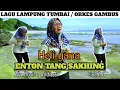 Download Lagu Lagu Lampung tumbai \