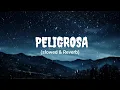 Download Lagu PELIGROSA SONG | LOFI VERSION | SLOWED \u0026 REVERB