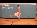 B 1 4 Compare movements of the hip joint and knee joint