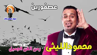 محمود الليثى عصفورين 