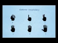 Hand Gestures Recognition using Kinect sensor