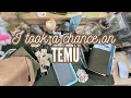 Temu Stationery Haul Pouches Fountain Pens Stamps Traveler s Notebook Supplies
