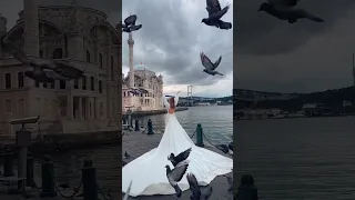 عاشت ايدك ريمكس حالات واتس اب 