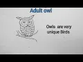 life cycle of the owls ll owls history ll owls internal Parts YouTube channel Mobilel ll