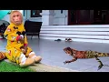 Download Lagu Monkey Bibi Meets a Colorful Chameleon – A Surprising and Cute Encounter