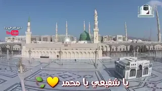 ابا القاسم يا حبيبي يا محمد  حالات واتس اب دندنها