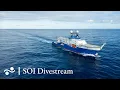 Station 69: Mar Del Plata Canyon, Argentina | SOI Divestream 812