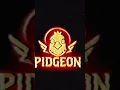 Download Lagu T H E - C O O P - O P E N S #pidgeonband #sleeptoken #presidentband