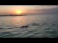 The Original Dolphin Watch Boat Tour at Sunset South Padre Island Texas