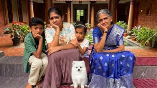 Revealing Our Puppy’s Name &New Update 🐶നമ്മുടെ പട്ടിക്കുട്ടിയുടെ പുതിയ വിശേഷം 🥰#family 