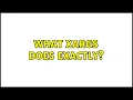 What xargs does exactly