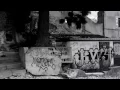 AVERAGE JOE - KENDRICK LAMAR