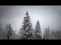 ❄️ Deep Minimal Tech House Visual Mix ❄️ Gorge • Dilby • Late Replies • Cristina Lazic