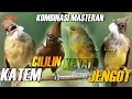 Download Lagu MASTERAN CUCAK JENGGOT - CILILIN - KAPAS TEMBAK - KENARI