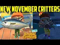 November Critters November Bug Guide November Fish Guide November Sea Creature Guide ACNH