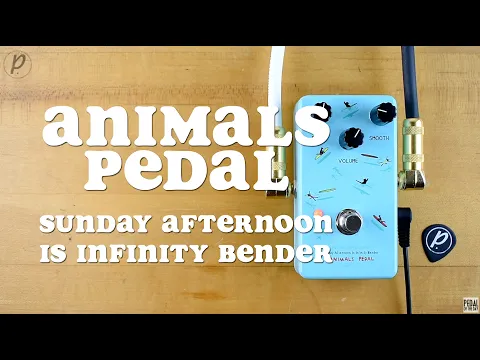 Animals Pedal Sunday Afternoon Is Infinity Bender Fuzz | Delicious