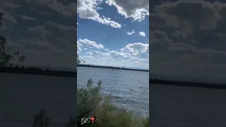 فضل شاكر رووووووعة الروعه طاير يا هوى علي المينا لازم تسمعها هتعجبك جدااا 