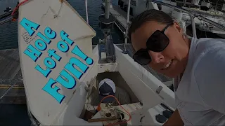 A Hole Lot of Fun | Refitting our 2001 Sailboat