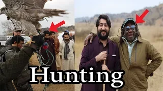 hunting in pakistan hunting with falcons gone crazy dont miss this video zafar supari