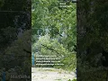 See damage from tornado storms that hit Menasha and Appleton Wisconsin