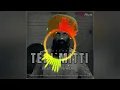 Download Lagu TERI MITTI SOUND CHECK Dj RVS