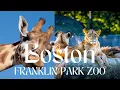 A Day Out at the Franklin Park Zoo Boston Amazing Animal Encounters