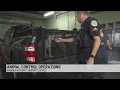 Behind the scenes of Anderson County s Animal Control Unit