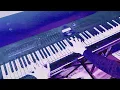 Miki Matsubara - Stay With Me (Piano Solo Cover)