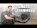 Great Dane Crate Training Great Dane Care