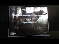 twilight wolf spell 100 works