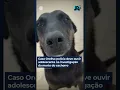 Lagu Caso Orelha: polícia deve ouvir adolescente na investigação da morte do cachorro #Shorts #JR24H