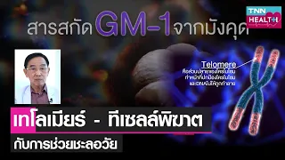 เทโลเมียคืออะไร และมีความสำคัญต่อร่างกายอย่างไร