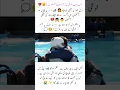 Download Lagu Jessica’s Return, Father’s Tears \u0026 Orca’s Happiness 🥺 #tilikum #orca  #wildlife #nature #shorts