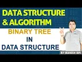 Binary Tree in DSA - Data structures and Algorithms Course
