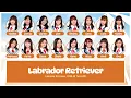 Download Lagu MNL48 – Labrador Retriever [Color Coded Lyrics TG/BY/EN]
