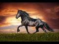 Download Lagu Sergey Grischuk - Music for the Soul. The most beautiful music!