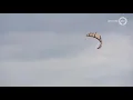 Download Lagu Kitesurfers zetten redders ook op het Veluwemeer aan het werk