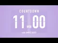 11 Minute Countdown Timer Flip Clock with Bell Alerts
