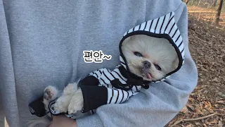 걷기 싫을 땐 졸린 척이 최고