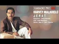 Download Lagu Harvey Malaiholo - Jerat (Karaoke)