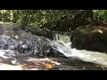 Relaxing with Water Sounds • Peaceful Ambience for Spa, Yoga and Relaxation