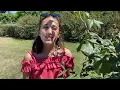 Clip "Molihua" the famous jasmine song in Chinese by Mathilde La Fée
