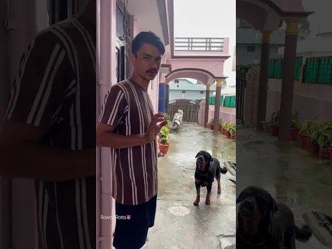 Rottweiler Daisy ko barish me meri sath dukan aana ha😅✅#ghumakaad #rottweiler #shorts #pet